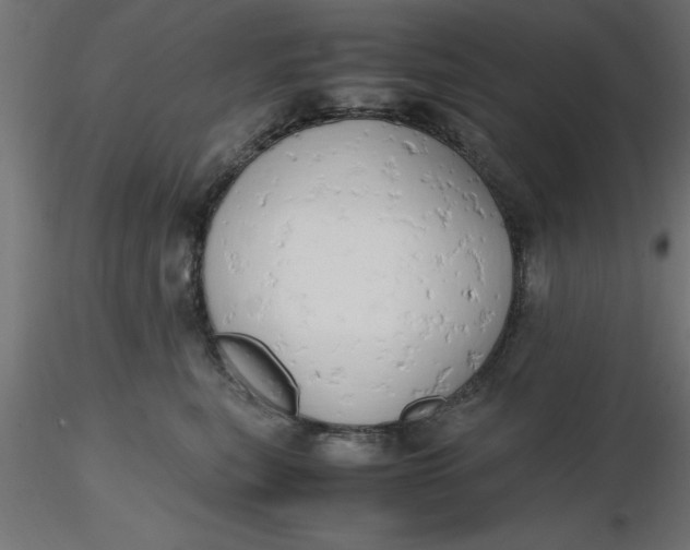 X0000116660567200912291640