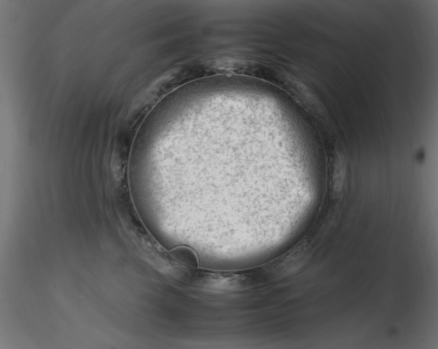 X0000116660569200912291640