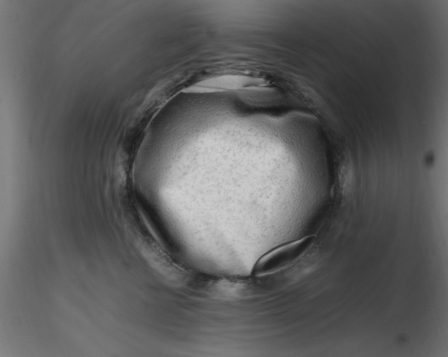 X0000116660570200912291640