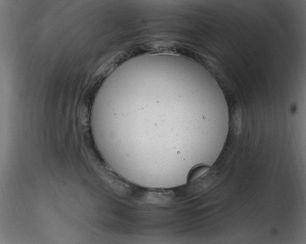 X0000116660571200912291640