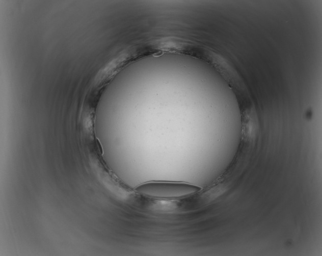 X0000116660573200912291640