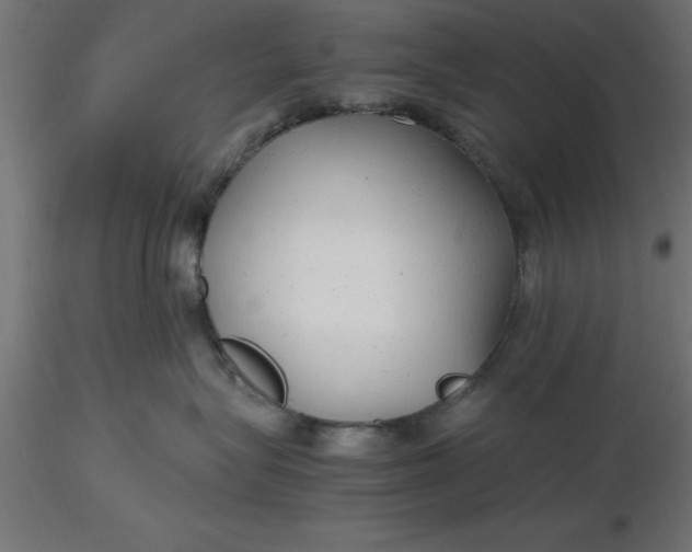 X0000116660575200912291640