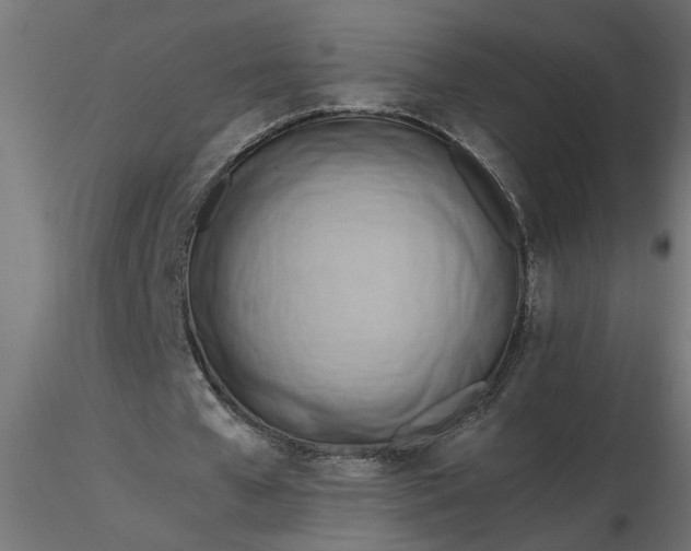 X0000116660577200912291639