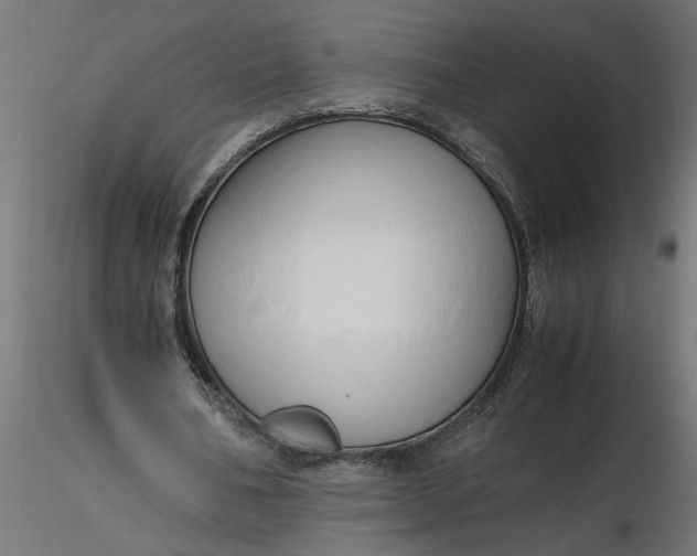 X0000116660578200912291639