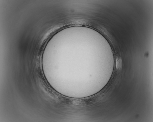 X0000116660579200912291639