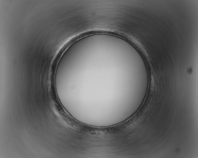 X0000116660580200912291639