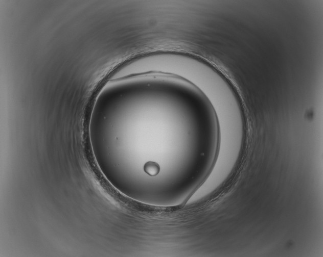 X0000116660581200912291639