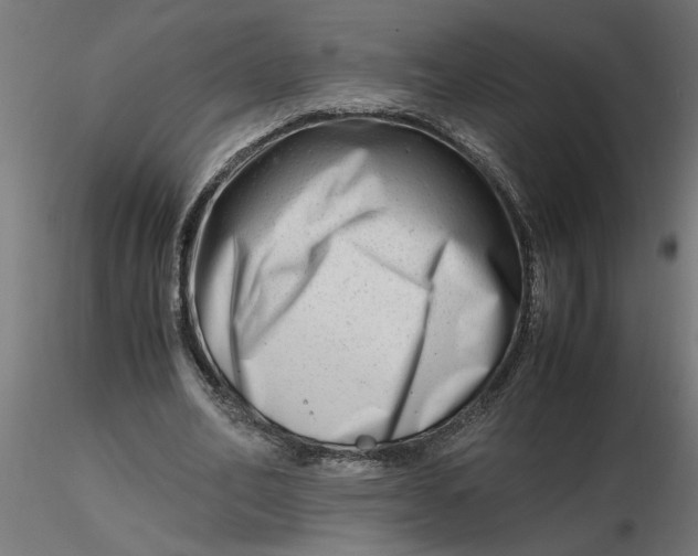 X0000116660582200912291639