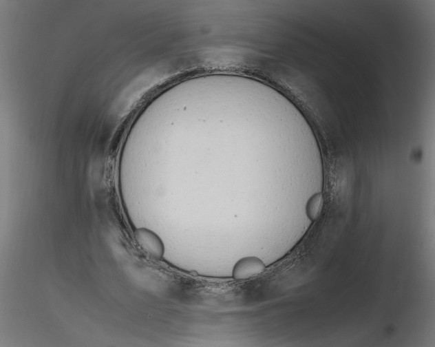 X0000116660583200912291639