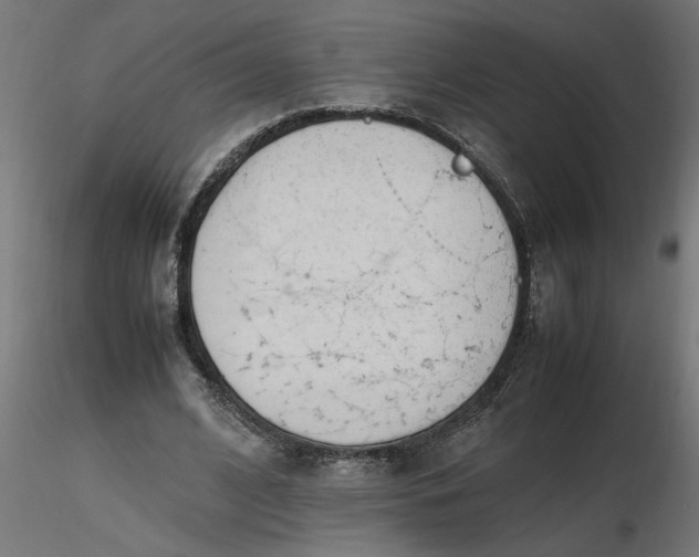 X0000116660584200912291639