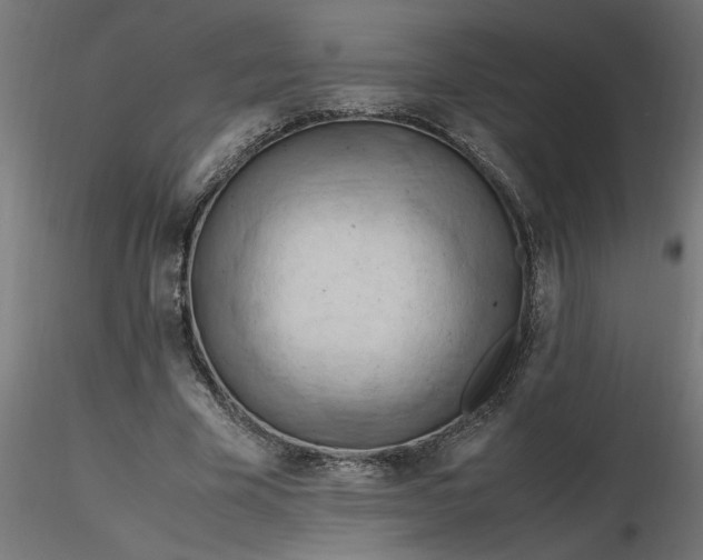 X0000116660585200912291639