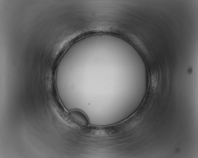 X0000116660588200912291639