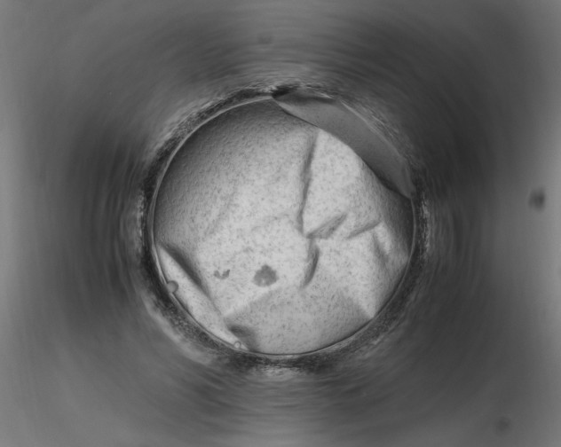 X0000116660590200912291639