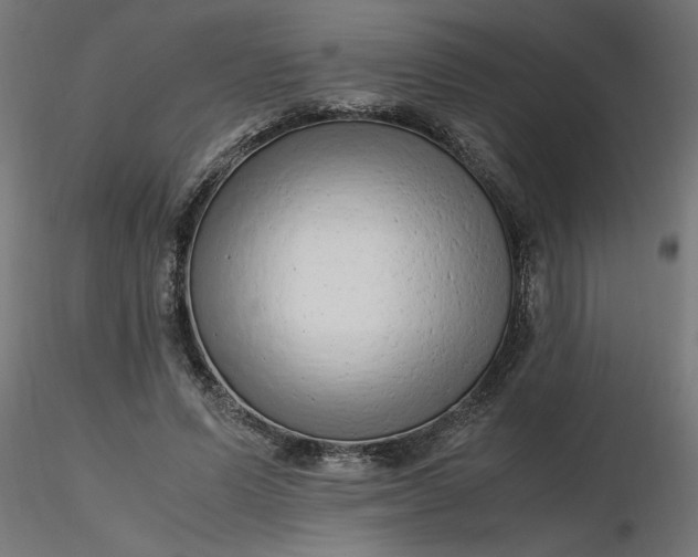 X0000116660591200912291639