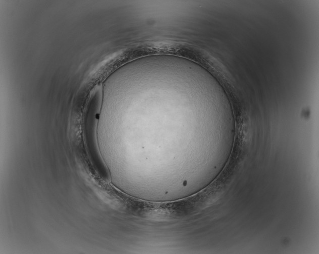 X0000116660593200912291639