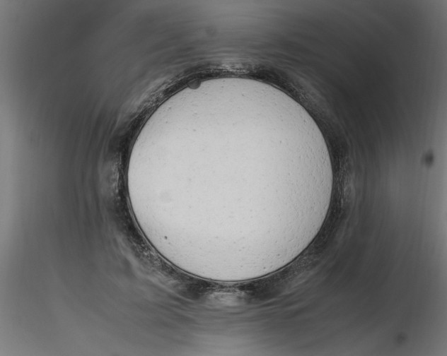 X0000116660595200912291639