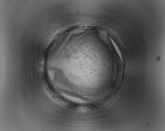 X0000116660596200912291639