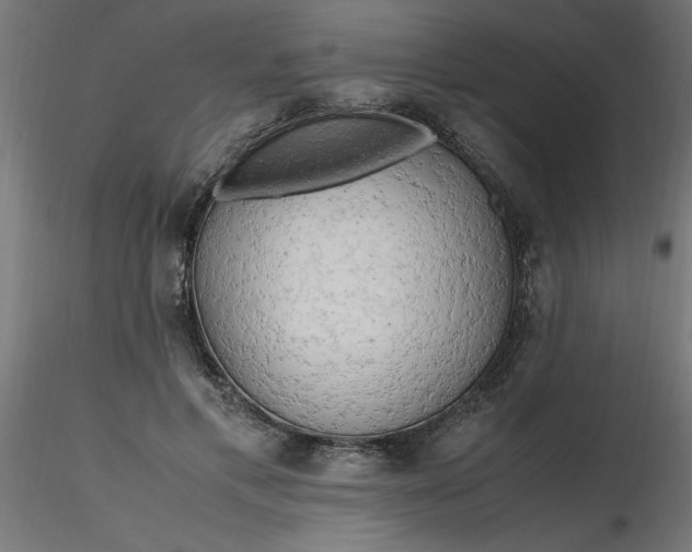 X0000116660597200912291639