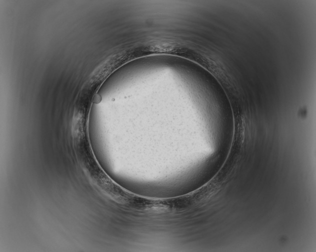 X0000116660598200912291639