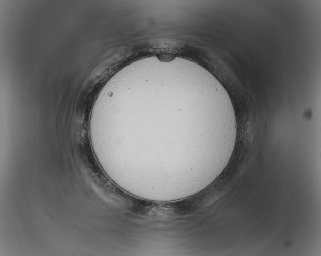 X0000116660599200912291639