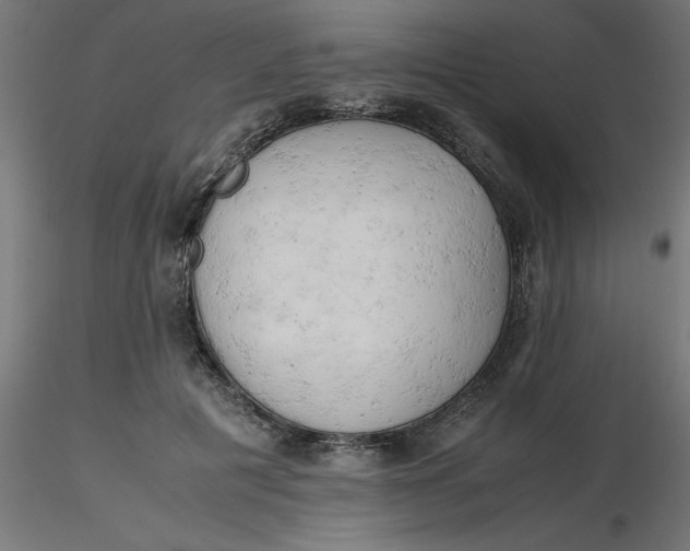 X0000116660601200912291639