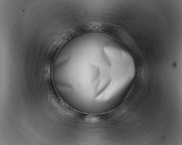 X0000116660602200912291639