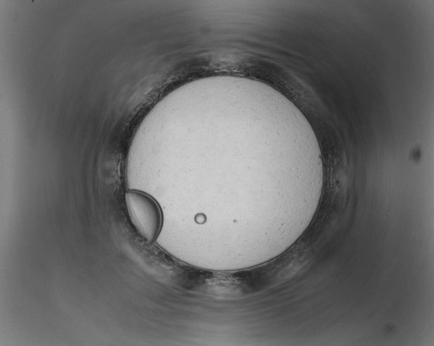 X0000116660603200912291639