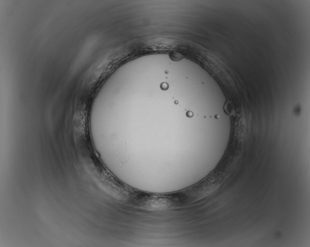 X0000116660604200912291639