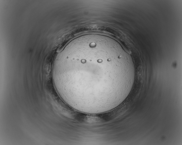 X0000116660605200912291639