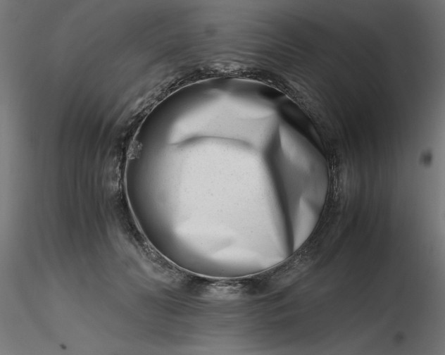 X0000116660606200912291639