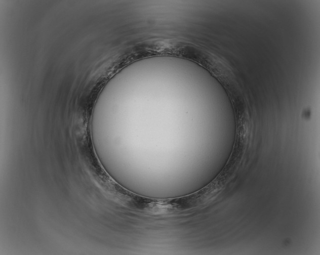 X0000116660607200912291639