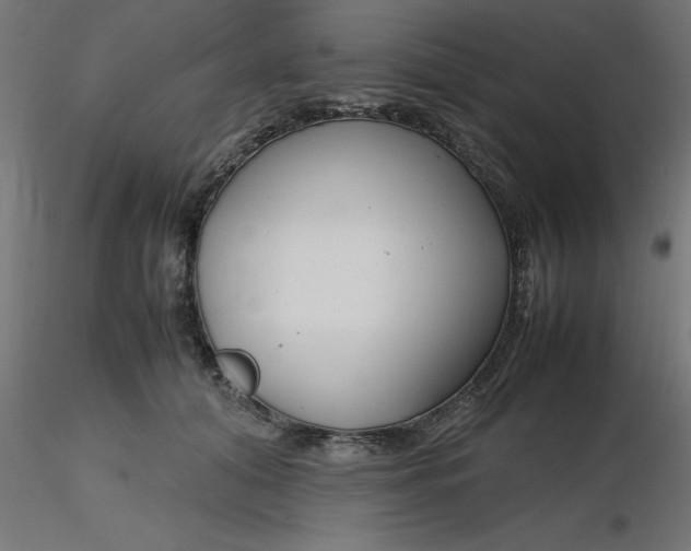 X0000116660608200912291639