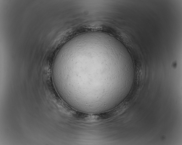 X0000116660609200912291639