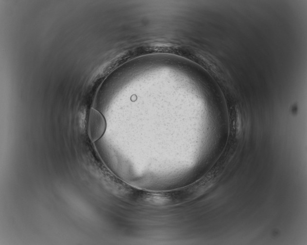 X0000116660610200912291639