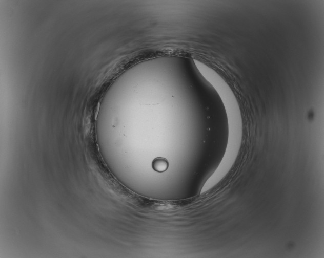 X0000116660611200912291639