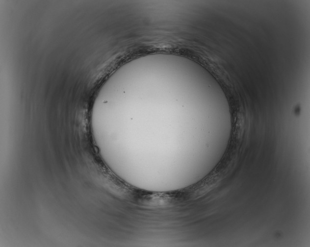 X0000116660612200912291639