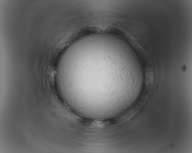 X0000116660613200912291639