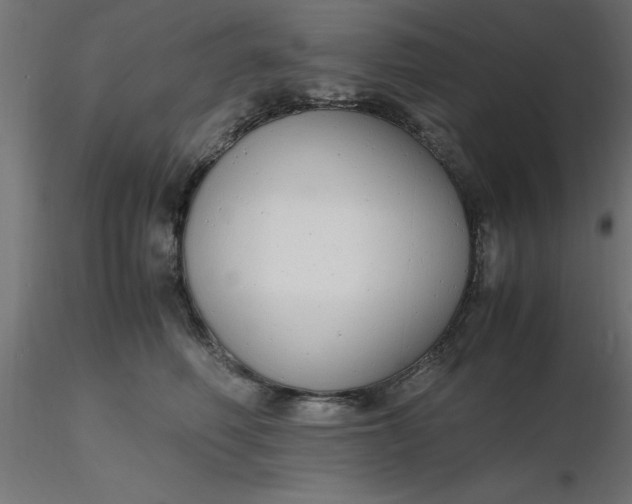 X0000116660614200912291639