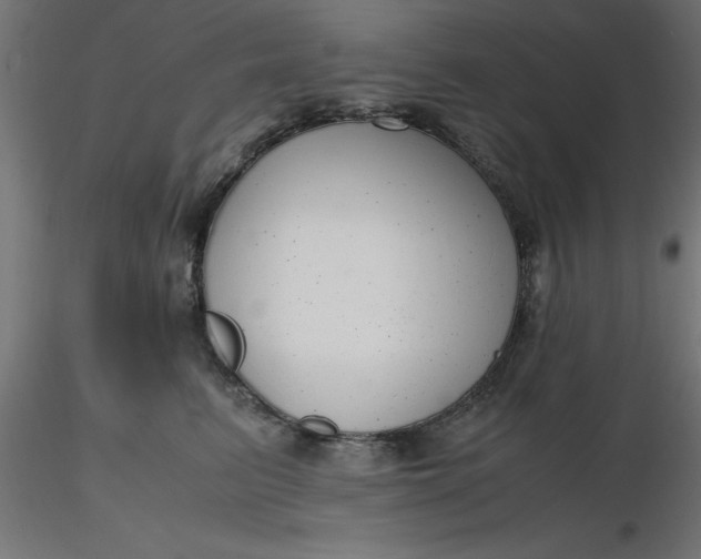 X0000116660615200912291639