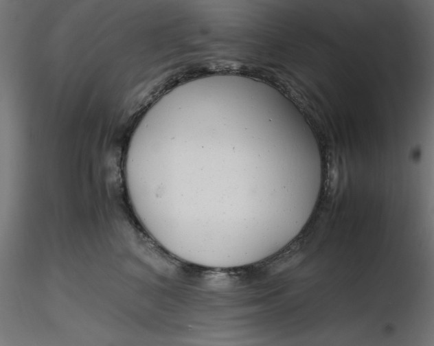 X0000116660616200912291639