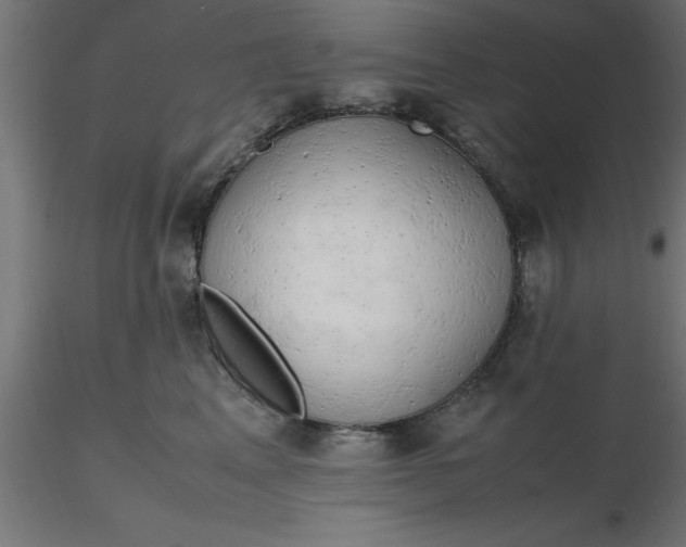 X0000116660617200912291639