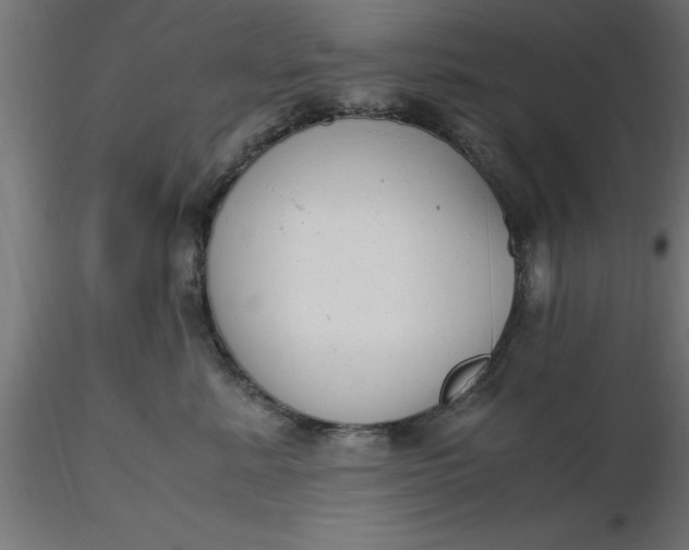 X0000116660619200912291639