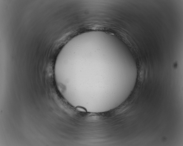 X0000116660620200912291639