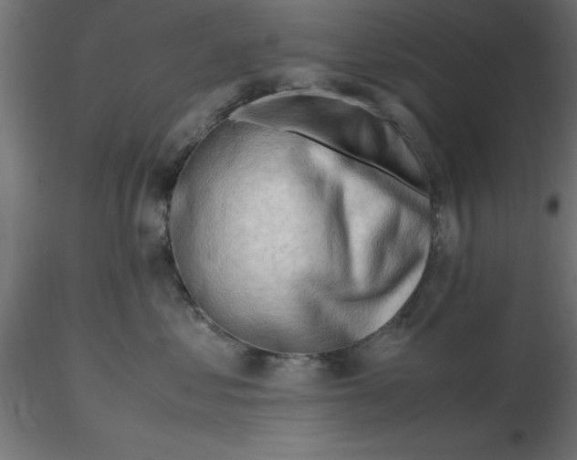 X0000116660621200912291639