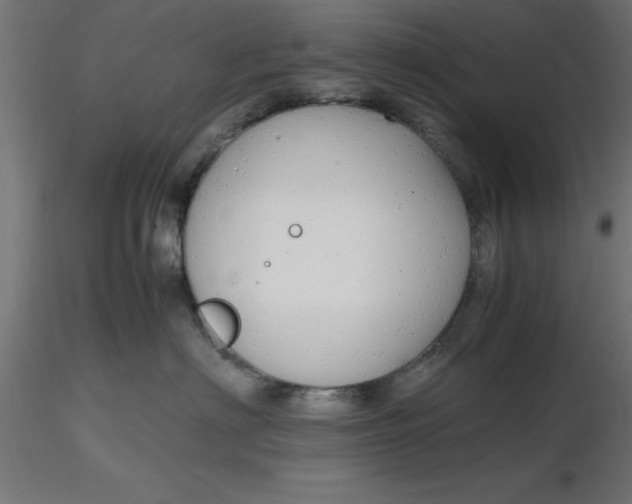 X0000116660622200912291639