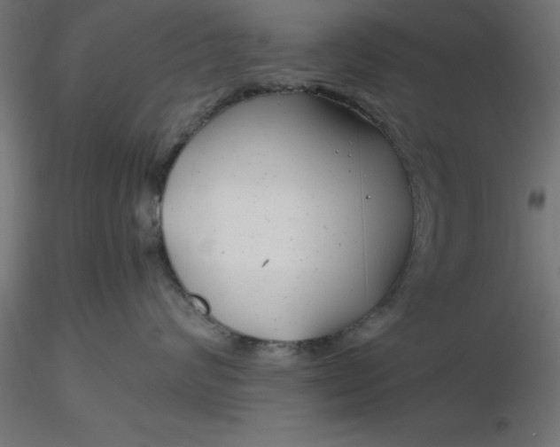 X0000116660624200912291638