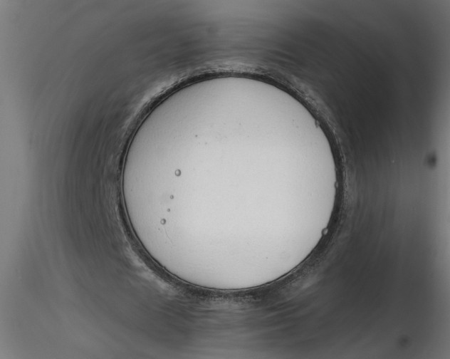 X0000116660625200912291638