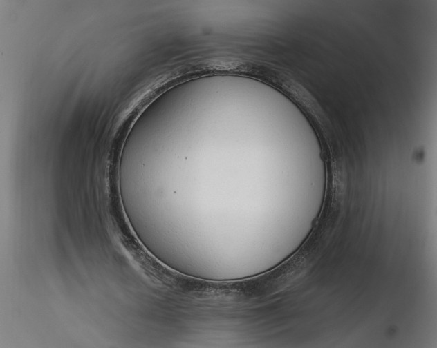 X0000116660626200912291638