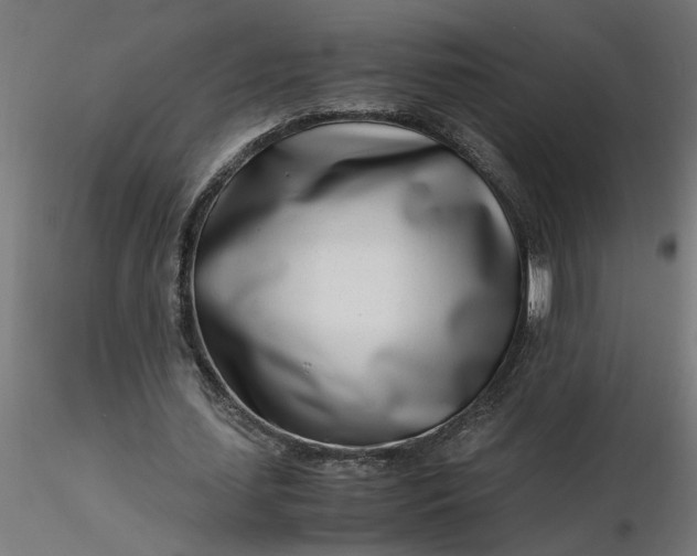 X0000116660627200912291638