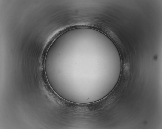 X0000116660628200912291638